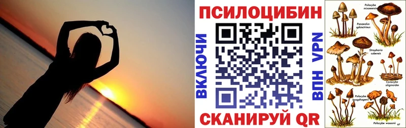 Псилоцибиновые грибы Psilocybe  МЕГА как зайти  Очёр  где купить наркоту 
