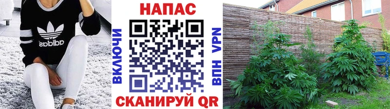 МАРИХУАНА LSD WEED Очёр